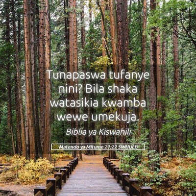 Picture 05 - Matendo ya Mitume 21:22 SWHULB - Tunapaswa tufanye nini? Bila shaka watasikia - Bible Verse Picture