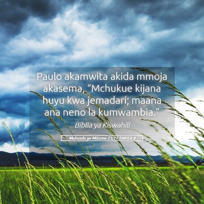 Picture 05 - Matendo ya Mitume 23:17 SWHULB - Paulo akamwita akida mmoja akasema, “Mchukue - Bible Verse Picture