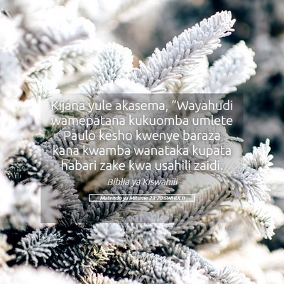 Picture 05 - Matendo ya Mitume 23:20 SWHULB - Kijana yule akasema, “Wayahudi wamepatana - Bible Verse Picture