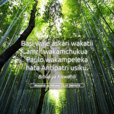 Picture 05 - Matendo ya Mitume 23:31 SWHULB - Basi wale askari wakatii amri: wakamchukua Paulo - Bible Verse Picture