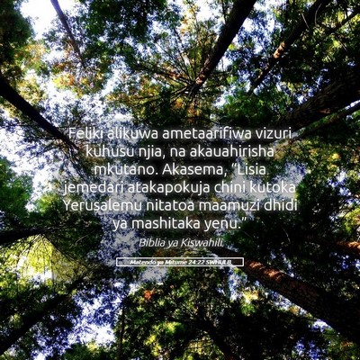Picture 05 - Matendo ya Mitume 24:22 SWHULB - Feliki alikuwa ametaarifiwa vizuri kuhusu njia, - Bible Verse Picture