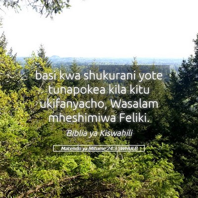Picture 05 - Matendo ya Mitume 24:3 SWHULB - basi kwa shukurani yote tunapokea kila kitu - Bible Verse Picture