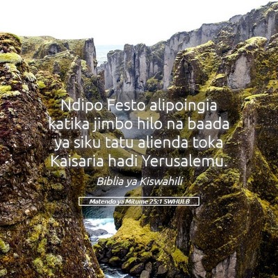 Picture 05 - Matendo ya Mitume 25:1 SWHULB - Ndipo Festo alipoingia katika jimbo hilo na baada - Bible Verse Picture