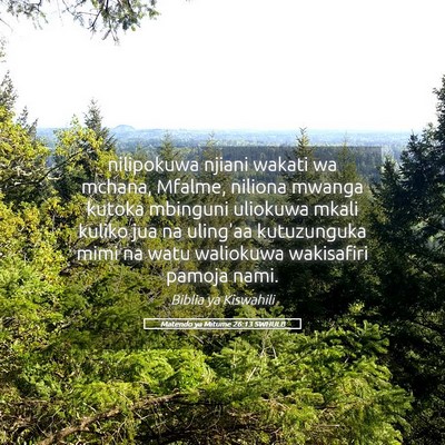 Picture 05 - Matendo ya Mitume 26:13 SWHULB - nilipokuwa njiani wakati wa mchana, Mfalme, - Bible Verse Picture