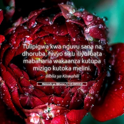 Picture 05 - Matendo ya Mitume 27:18 SWHULB - Tulipigwa kwa nguvu sana na dhoruba, hivyo siku - Bible Verse Picture