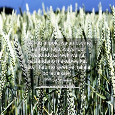 Picture 05 - Matendo ya Mitume 28:29 SWHULB - “Wakati alipokuwa amesema mambo haya, wayahudi - Bible Verse Picture