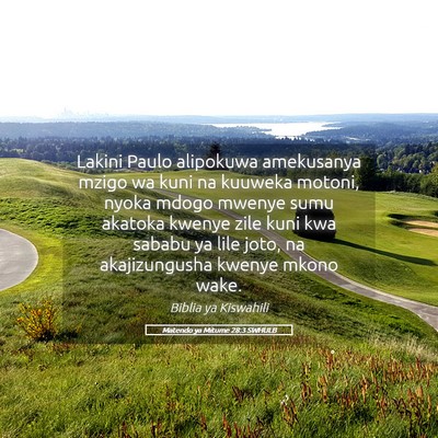 Picture 05 - Matendo ya Mitume 28:3 SWHULB - Lakini Paulo alipokuwa amekusanya mzigo wa kuni - Bible Verse Picture