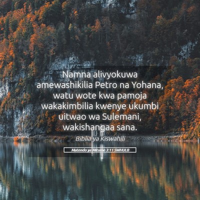 Picture 05 - Matendo ya Mitume 3:11 SWHULB - Namna alivyokuwa amewashikilia Petro na Yohana, - Bible Verse Picture