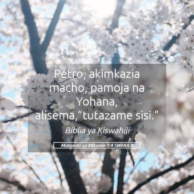 Picture 05 - Matendo ya Mitume 3:4 SWHULB - Petro, akimkazia macho, pamoja na Yohana, - Bible Verse Picture