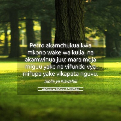 Picture 05 - Matendo ya Mitume 3:7 SWHULB - Petro akamchukua kwa mkono wake wa kulia, na - Bible Verse Picture