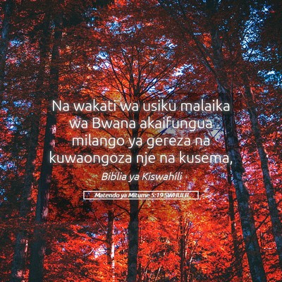 Picture 05 - Matendo ya Mitume 5:19 SWHULB - Na wakati wa usiku malaika wa Bwana akaifungua - Bible Verse Picture