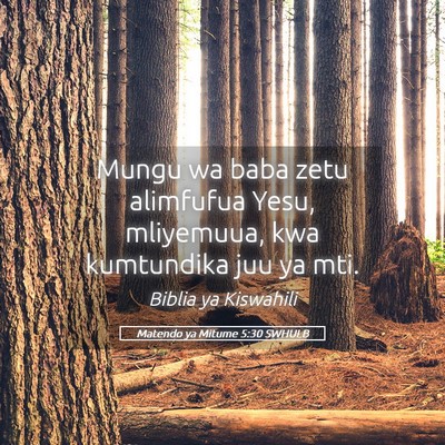 Picture 05 - Matendo ya Mitume 5:30 SWHULB - Mungu wa baba zetu alimfufua Yesu, mliyemuua, kwa - Bible Verse Picture