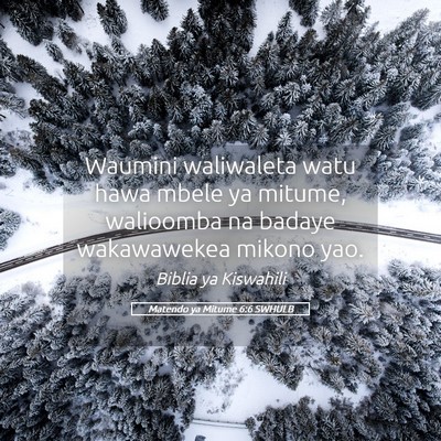 Picture 05 - Matendo ya Mitume 6:6 SWHULB - Waumini waliwaleta watu hawa mbele ya mitume, - Bible Verse Picture