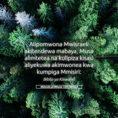 Picture 05 - Matendo ya Mitume 7:24 SWHULB - Alipomwona Mwisraeli akitendewa mabaya, Musa - Bible Verse Picture
