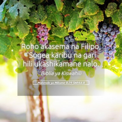 Picture 05 - Matendo ya Mitume 8:29 SWHULB - Roho akasema na Filipo, “Sogea karibu na gari - Bible Verse Picture