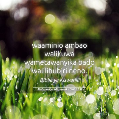 Picture 05 - Matendo ya Mitume 8:4 SWHULB - waaminio ambao walikuwa wametawanyika bado - Bible Verse Picture