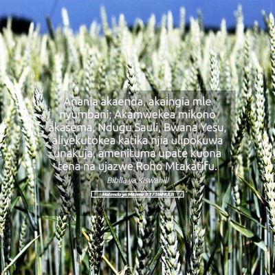 Picture 05 - Matendo ya Mitume 9:17 SWHULB - Anania akaenda, akaingia mle nyumbani; Akamwekea - Bible Verse Picture