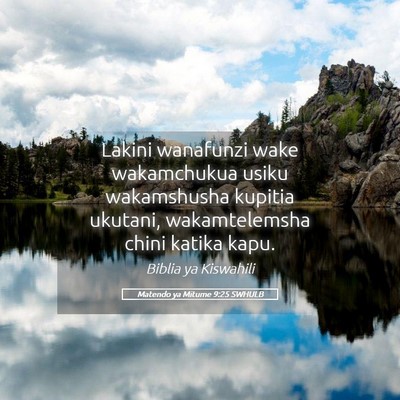 Picture 05 - Matendo ya Mitume 9:25 SWHULB - Lakini wanafunzi wake wakamchukua usiku - Bible Verse Picture