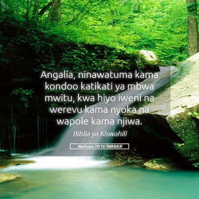 Picture 05 - Mathayo 10:16 SWHULB - Angalia, ninawatuma kama kondoo katikati ya mbwa - Bible Verse Picture