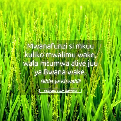 Picture 05 - Mathayo 10:24 SWHULB - Mwanafunzi si mkuu kuliko mwalimu wake, wala - Bible Verse Picture