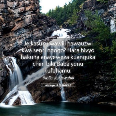 Picture 05 - Mathayo 10:29 SWHULB - Je kasuku wawili hawauzwi kwa senti ndogo? Hata - Bible Verse Picture