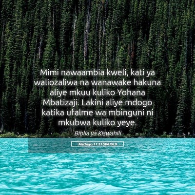 Picture 05 - Mathayo 11:11 SWHULB - Mimi nawaambia kweli, kati ya waliozaliwa na - Bible Verse Picture