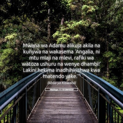 Picture 05 - Mathayo 11:19 SWHULB - Mwana wa Adamu alikuja akila na kunywa na - Bible Verse Picture
