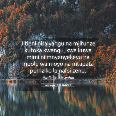 Picture 05 - Mathayo 11:29 SWHULB - Jitieni nira yangu na mjifunze kutoka kwangu, kwa - Bible Verse Picture