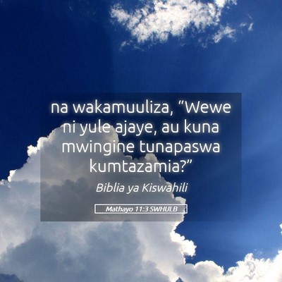 Picture 05 - Mathayo 11:3 SWHULB - na wakamuuliza, “Wewe ni yule ajaye, au kuna - Bible Verse Picture