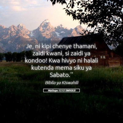 Picture 05 - Mathayo 12:12 SWHULB - Je, ni kipi chenye thamani, zaidi kwani, si zaidi - Bible Verse Picture