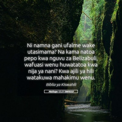 Picture 05 - Mathayo 12:27 SWHULB - Ni namna gani ufalme wake utasimama? Na kama - Bible Verse Picture