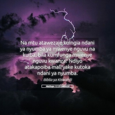 Picture 05 - Mathayo 12:29 SWHULB - Na mtu atawezaje kuingia ndani ya nyumba ya - Bible Verse Picture