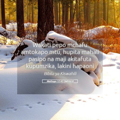 Picture 05 - Mathayo 12:43 SWHULB - Wakati pepo mchafu amtokapo mtu, hupita mahali - Bible Verse Picture