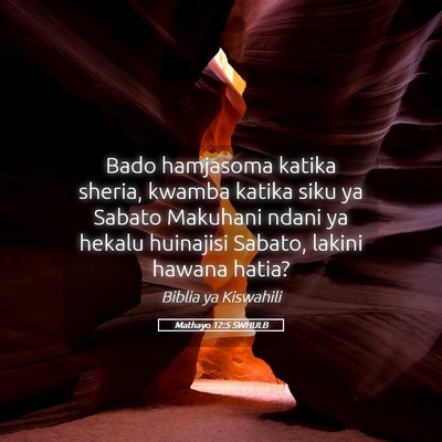Picture 05 - Mathayo 12:5 SWHULB - Bado hamjasoma katika sheria, kwamba katika siku - Bible Verse Picture