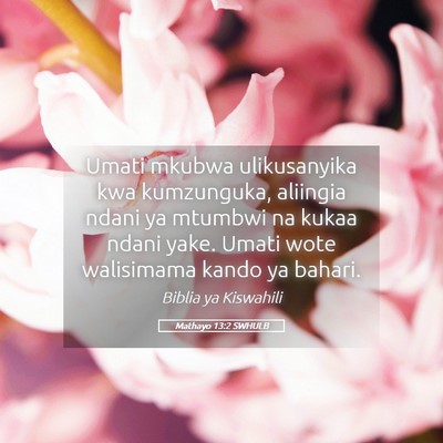 Picture 05 - Mathayo 13:2 SWHULB - Umati mkubwa ulikusanyika kwa kumzunguka, - Bible Verse Picture