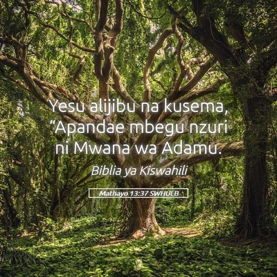 Picture 05 - Mathayo 13:37 SWHULB - Yesu alijibu na kusema, “Apandae mbegu nzuri ni - Bible Verse Picture