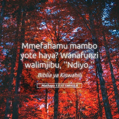Picture 05 - Mathayo 13:51 SWHULB - Mmefahamu mambo yote haya? Wanafunzi walimjibu, - Bible Verse Picture