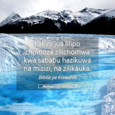Picture 05 - Mathayo 13:6 SWHULB - Lakini jua lilipo chomoza zilichomwa kwa sababu - Bible Verse Picture