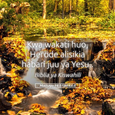 Picture 05 - Mathayo 14:1 SWHULB - Kwa wakati huo, Herode alisikia habari juu ya - Bible Verse Picture