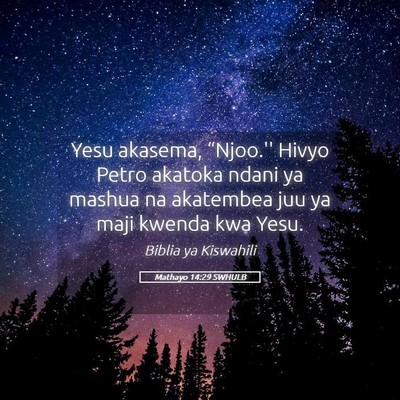Picture 05 - Mathayo 14:29 SWHULB - Yesu akasema, “Njoo.'' Hivyo Petro akatoka - Bible Verse Picture