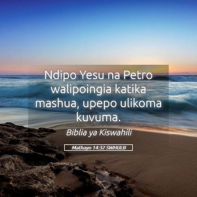 Picture 05 - Mathayo 14:32 SWHULB - Ndipo Yesu na Petro walipoingia katika mashua, - Bible Verse Picture