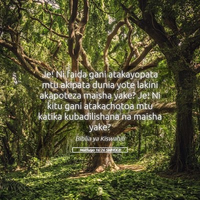 Picture 05 - Mathayo 16:26 SWHULB - Je! Ni faida gani atakayopata mtu akipata dunia - Bible Verse Picture