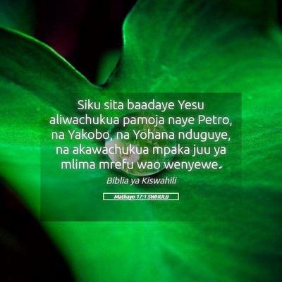 Picture 05 - Mathayo 17:1 SWHULB - Siku sita baadaye Yesu aliwachukua pamoja naye - Bible Verse Picture