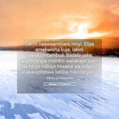 Picture 05 - Mathayo 17:12 SWHULB - Lakini naawaambieni ninyi, Eliya amekwisha kuja, - Bible Verse Picture