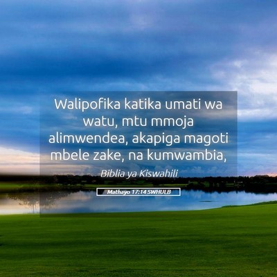 Picture 05 - Mathayo 17:14 SWHULB - Walipofika katika umati wa watu, mtu mmoja - Bible Verse Picture