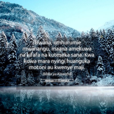 Picture 05 - Mathayo 17:15 SWHULB - “Bwana, umhurumie mwanangu, maana amekuwa na - Bible Verse Picture