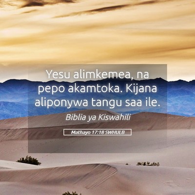 Picture 05 - Mathayo 17:18 SWHULB - Yesu alimkemea, na pepo akamtoka. Kijana - Bible Verse Picture