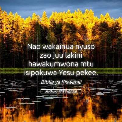 Picture 05 - Mathayo 17:8 SWHULB - Nao wakainua nyuso zao juu lakini hawakumwona mtu - Bible Verse Picture
