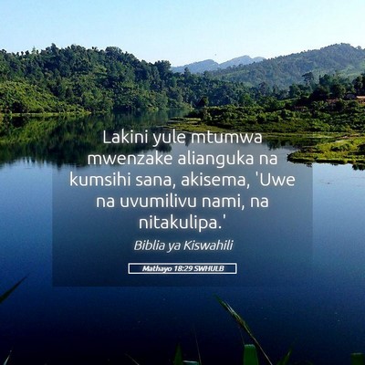 Picture 05 - Mathayo 18:29 SWHULB - Lakini yule mtumwa mwenzake alianguka na kumsihi - Bible Verse Picture