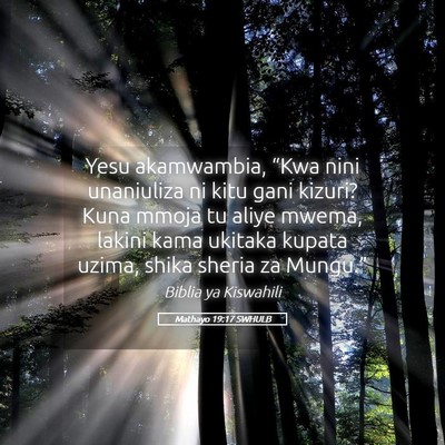 Picture 05 - Mathayo 19:17 SWHULB - Yesu akamwambia, “Kwa nini unaniuliza ni kitu - Bible Verse Picture